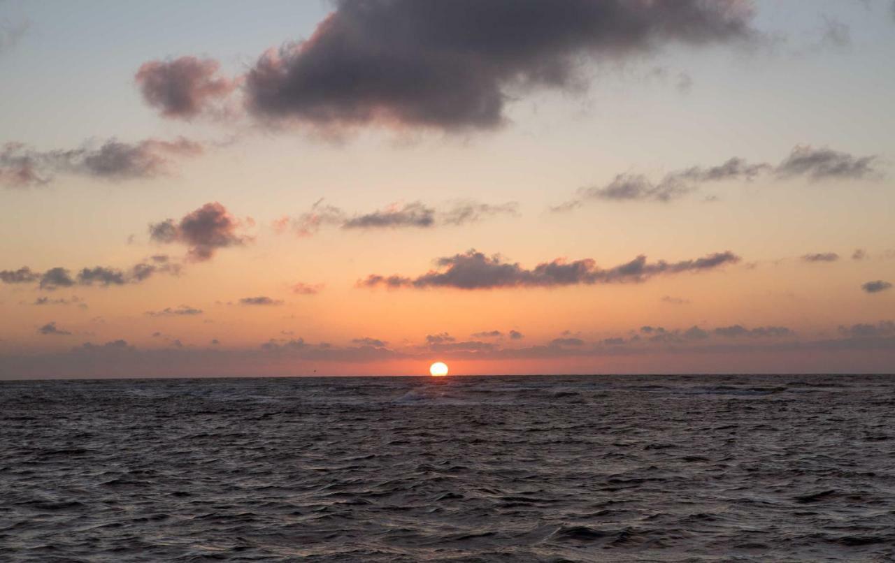 139 Ferienhaus Am Wattenmeer ザンデ エクステリア 写真